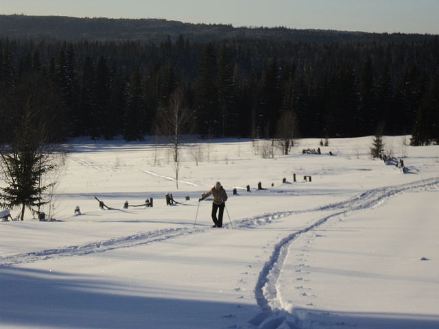 Кагилева Алевтина Егоровна